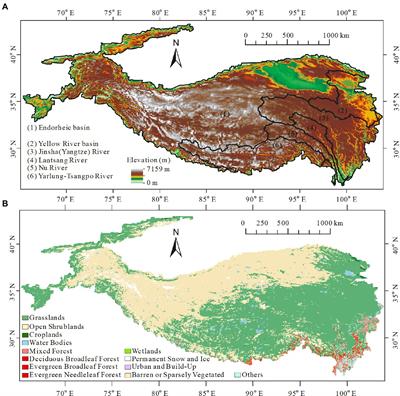 Increasing evapotranspiration decouples the positive correlation between vegetation cover and warming in the Tibetan plateau